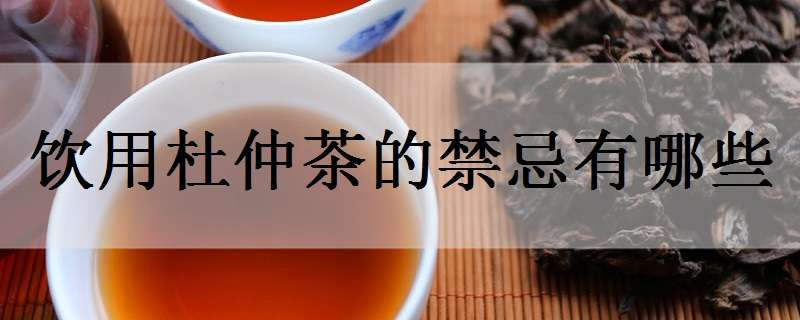 饮用杜仲茶的禁忌有哪些