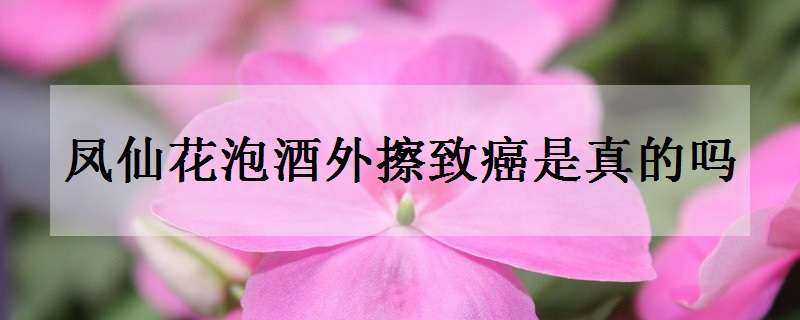 凤仙花泡酒外擦致癌是真的吗 凤仙花泡酒外擦的作用凤仙花