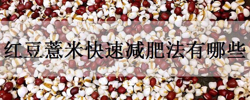 红豆薏米快速减肥法有哪些（红豆薏米快速减肥法有哪些好处）