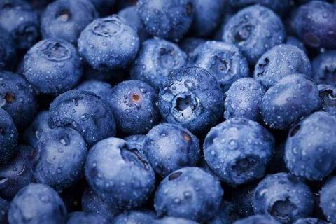 蓝莓冷冻后还有营养吗 可以冷藏保存吗