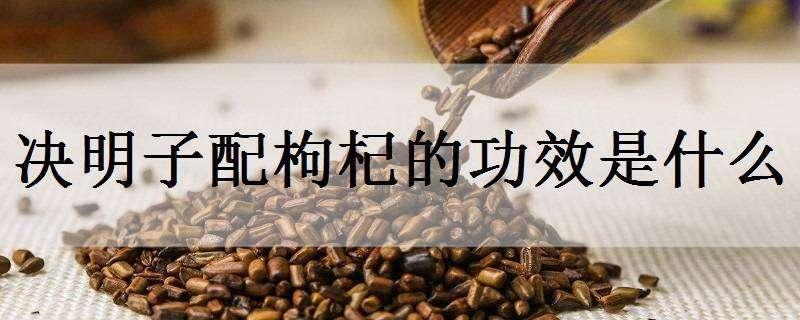 决明子配枸杞的功效是什么