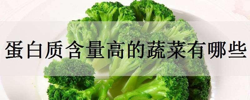 蛋白质含量高的蔬菜有哪些（蛋白质含量高的蔬菜有哪些呢）