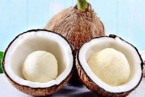 椰子的功效与作用及营养价值是什么