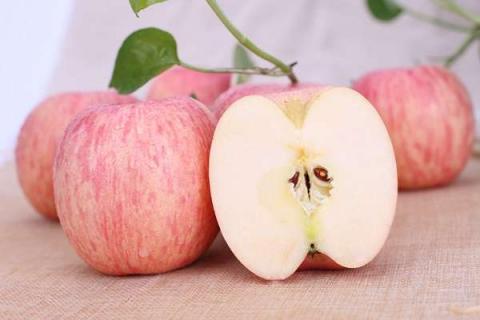 苹果的功效与作用及营养价值是什么