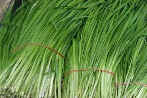 什么蔬菜减肥效果好（生吃什么蔬菜减肥效果好）