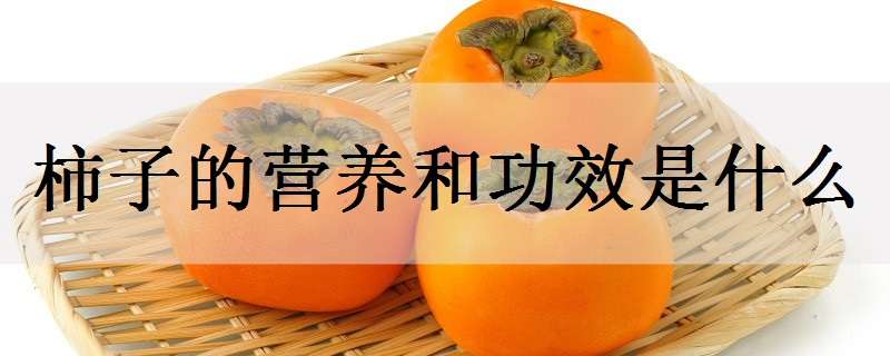 柿子的营养和功效是什么