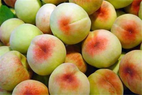 水蜜桃的作用与功效 冰糖水蜜桃的作用与功效