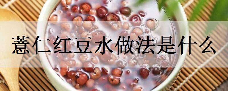薏仁红豆水做法是什么（薏仁红豆水做法是什么样子的）