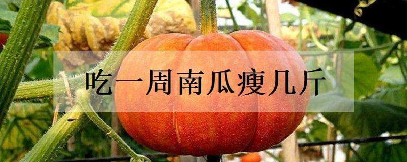 吃一周南瓜瘦几斤（一周吃南瓜能瘦几斤）