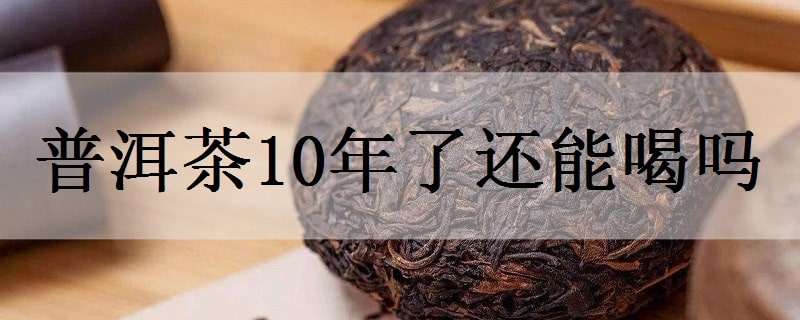 普洱茶10年了还能喝吗