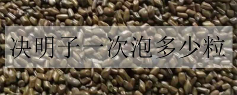 决明子一次泡多少粒