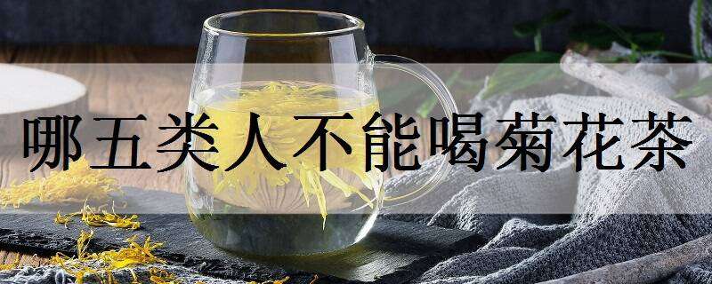 哪五类人不能喝菊花茶 哪五类人不能喝菊花茶呢