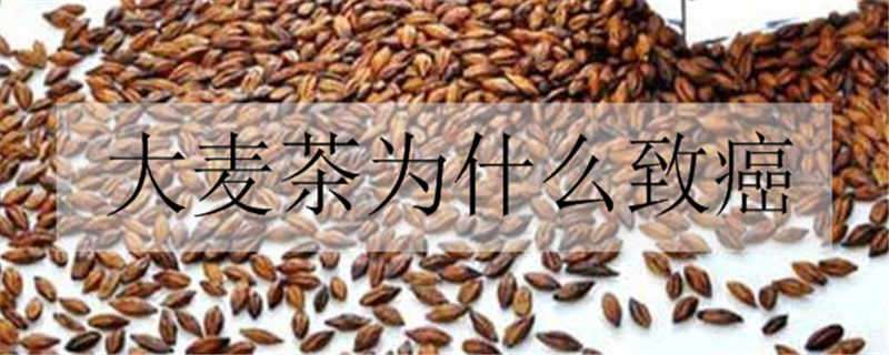大麦茶为什么致癌（大麦茶会致癌吗?）