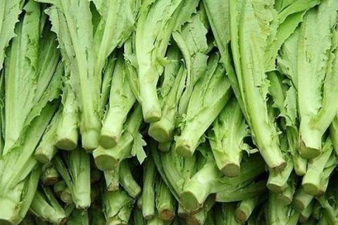 减肥蔬菜汁有哪些 减肥蔬菜汁有哪些种类