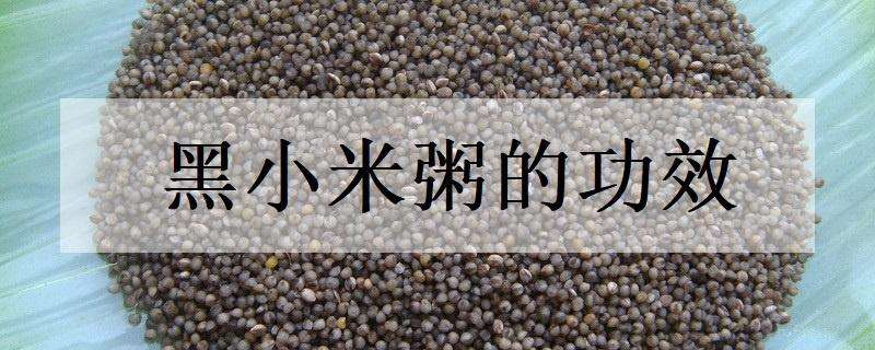 黑小米粥的功效 黑小米粥的功效与作用及食用方法红米