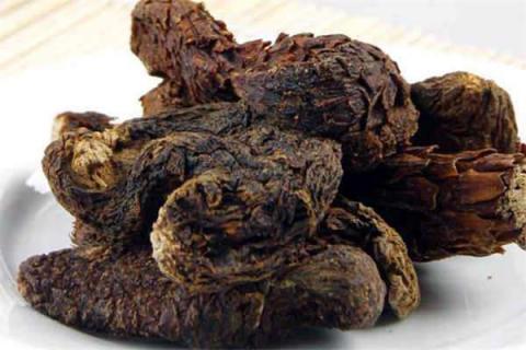 肉苁蓉的禁忌（肉苁蓉的禁忌注意事项）
