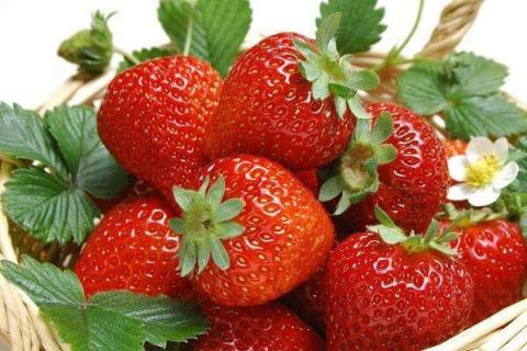 草莓的营养价值及营养成分 什么时候吃价值高