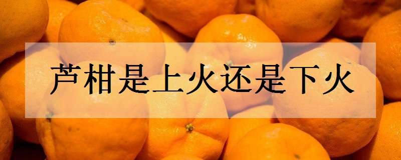 芦柑是上火还是下火 芦柑是上火还是下火呢