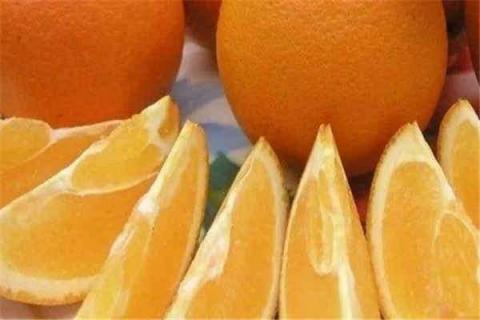 中国十大名橙排名 中国十大名橙排名第一黔阳冰塘橙