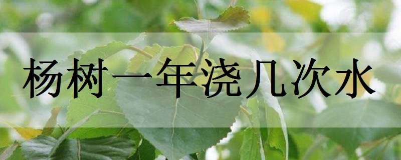 杨树一年浇几次水 杨树一年浇几次水合适?