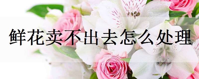 鲜花卖不出去怎么处理（鲜花卖不掉怎么处理）