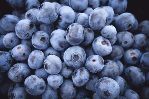 淘米水发酵多久可以浇蓝莓 淘米水发酵多久可以浇蓝莓花