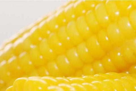 玉米追肥用尿素好还是复合肥好
