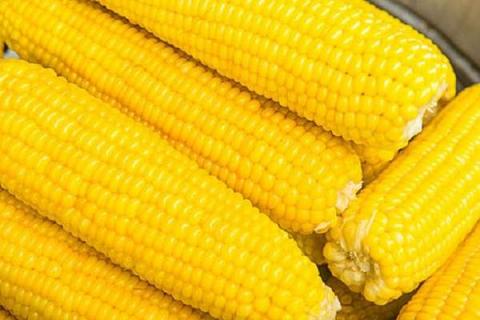 甜玉米怎样施肥才能高产 掌握好四个施肥的关键期