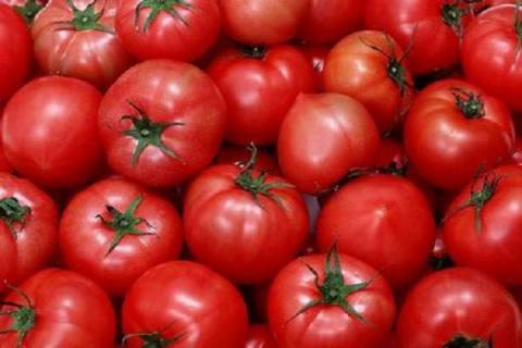 西红柿可以施复合肥吗 追肥要注意什么