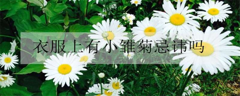 衣服上有小雏菊忌讳吗（衣服上的小雏菊犯忌讳吗）