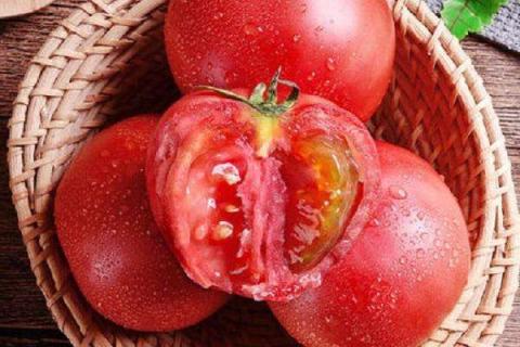 番茄用什么肥料能增甜 番茄用什么肥料能增甜好吃