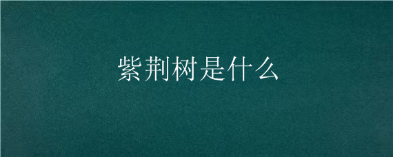紫荆树是什么（紫荆树是什么颜色）