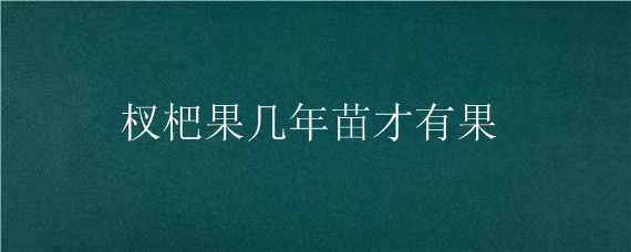 杈杷果几年苗才有果