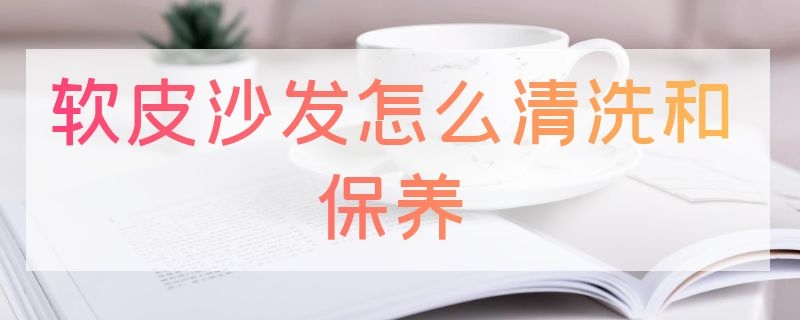 软皮沙发怎么清洗和保养 软皮沙发怎么清洗和保养好