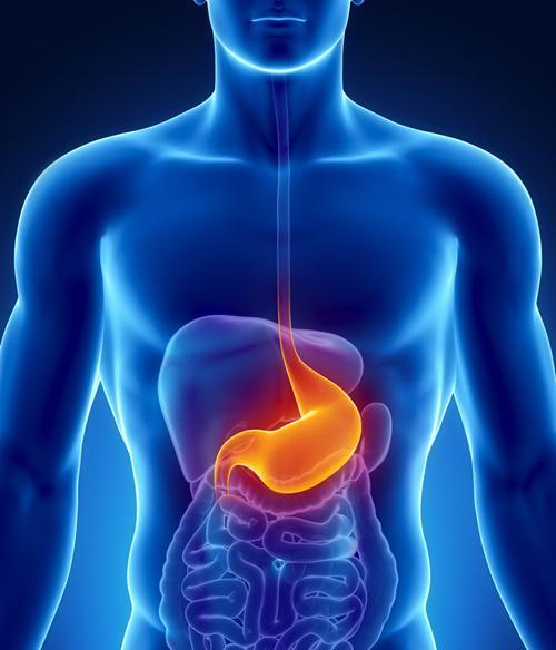 慢性胃炎吃什么食物好 慢性胃炎吃什么食物好养胃食谱