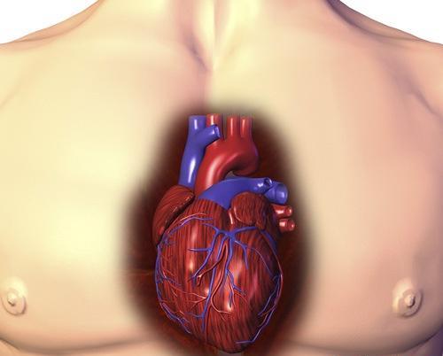 心肌炎是怎么引起的 心肌炎是怎么引起的这个病好治吗