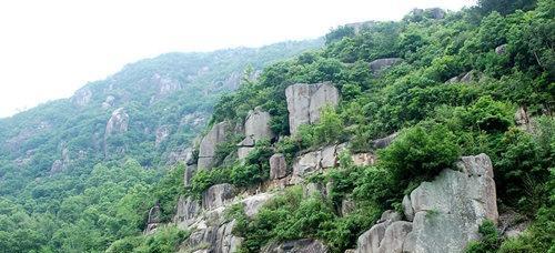 金甲植物精华液（金甲植物精华液怎么用）