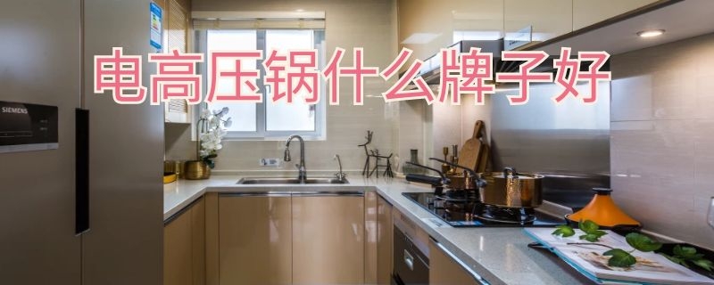 电高压锅什么牌子好（电高压锅什么牌子好用又实惠）