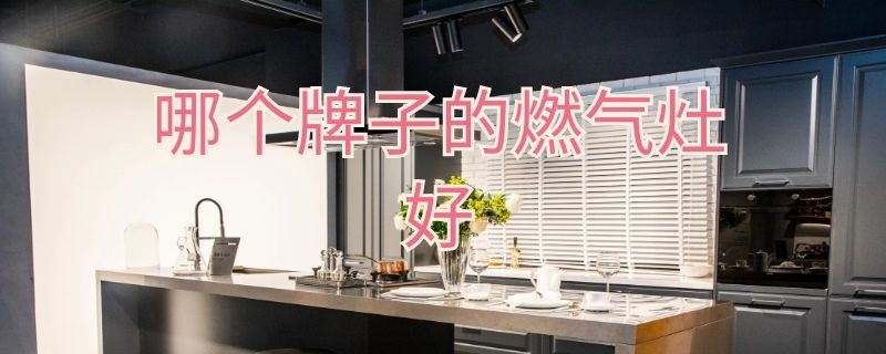 哪个牌子的燃气灶好（哪个牌子的燃气灶好用又实惠）