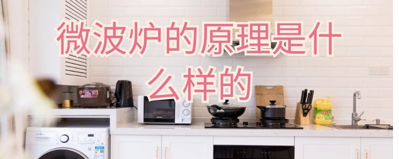 微波炉的原理是什么样的 微波炉的基本原理