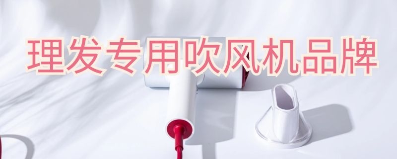 理发专用吹风机品牌 理发专用吹风机品牌排行