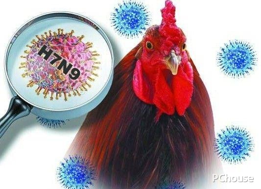 H7N9诊疗方案