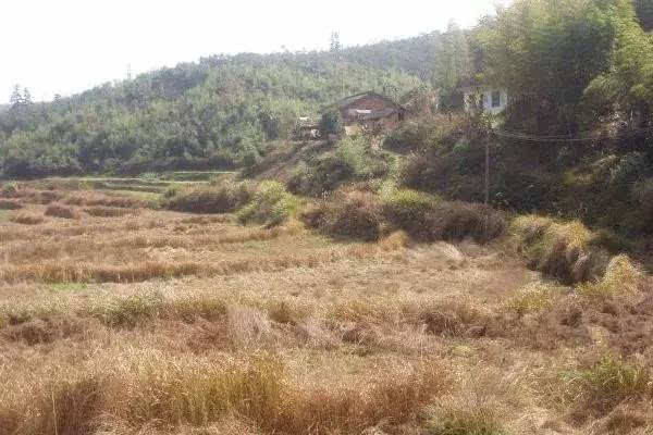 农村土地纠纷*有利的证据（农村土地纠纷案找谁解决）