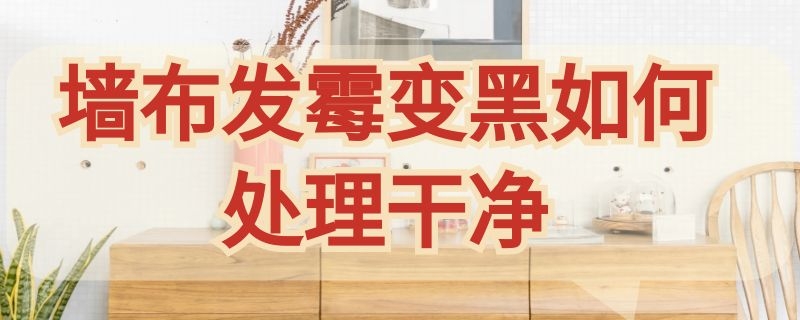 墙布发霉变黑如何处理干净 墙布发霉变黑如何处理干净