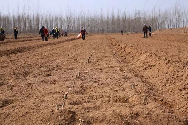 农村土地纠纷*有利的证据 农村土地纠纷怎么处理 农村土地纠纷找哪个部门解决