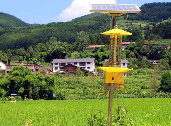 太阳能杀虫灯优点 太阳能杀虫灯适用害虫