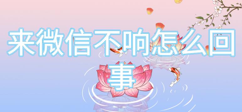 来微信不响怎么回事 来微信不响怎么回事