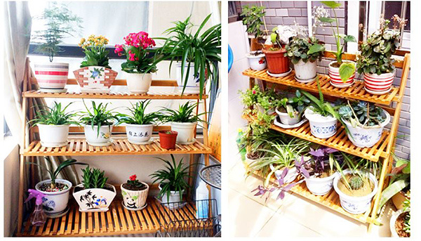 阳台木制花架选购技巧详细介绍 阳台木制花架选购技巧详细介绍图片