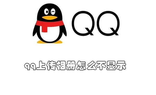 qq上传相册怎么不显示 qq上传相册怎么不显示在名片