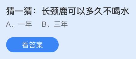 蚂蚁庄园11月19日答案最新：为什么南方的湿冷天气会让人感觉更冷？长颈鹿可以多久不喝水？